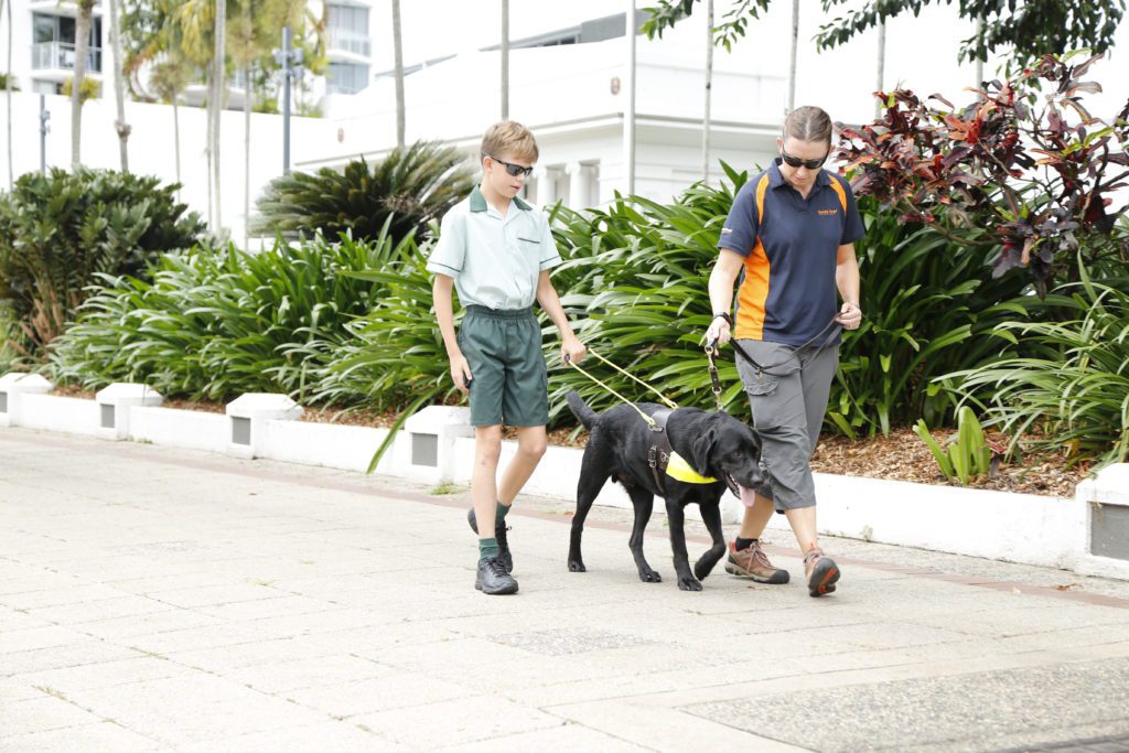 Image of a boy in a school uniform walking with a Guide Dog with the help of a Guide Dogs Queensland instructor