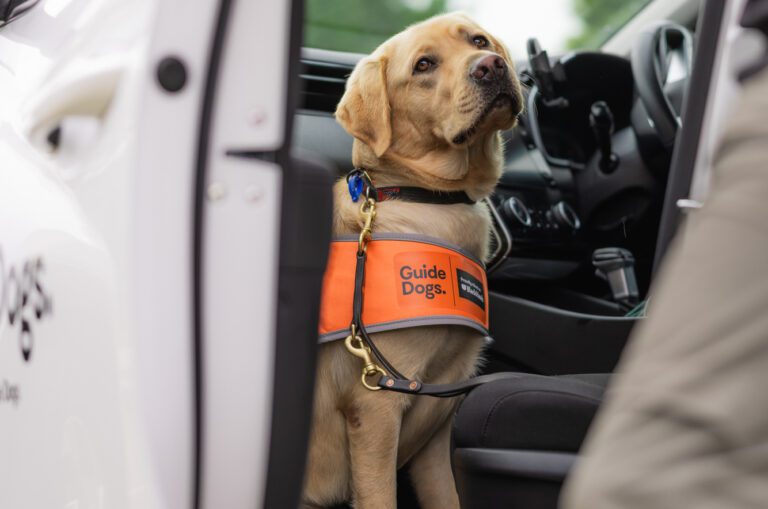 Travelling through the festive period?