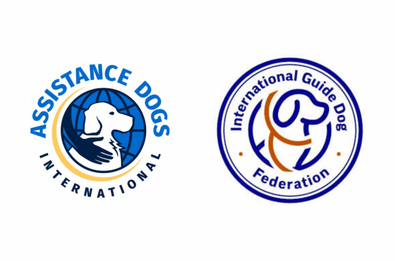 Guide Dogs Queensland Calls for National Action After Global Report Reveals Widespread Access Discrimination