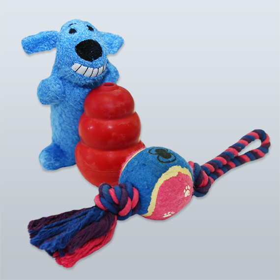 Virtual Puppy Toy Bundle Guide Dogs Queensland
