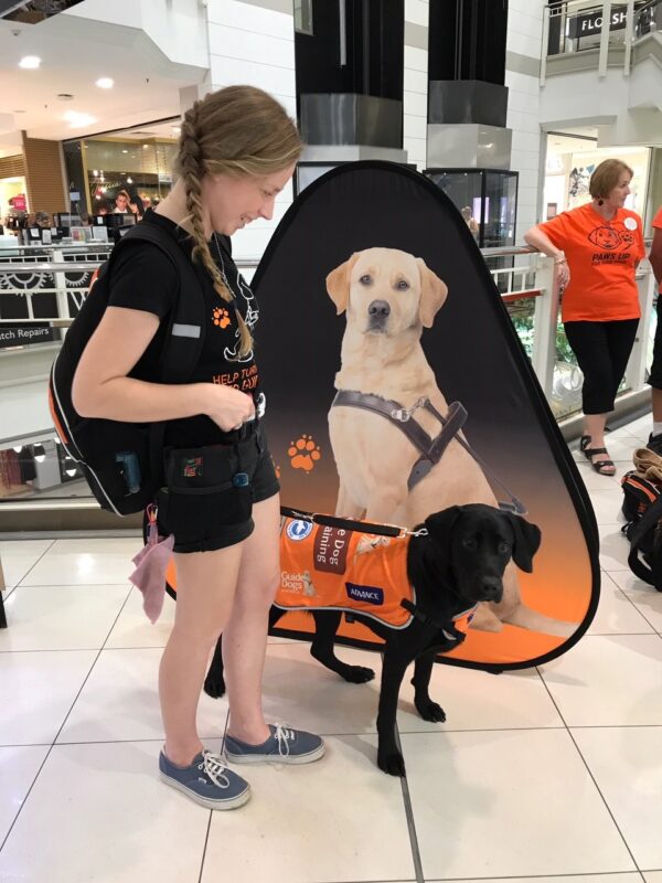 Puppy raiser Maggie and Eadie helping out at a merchandise stall