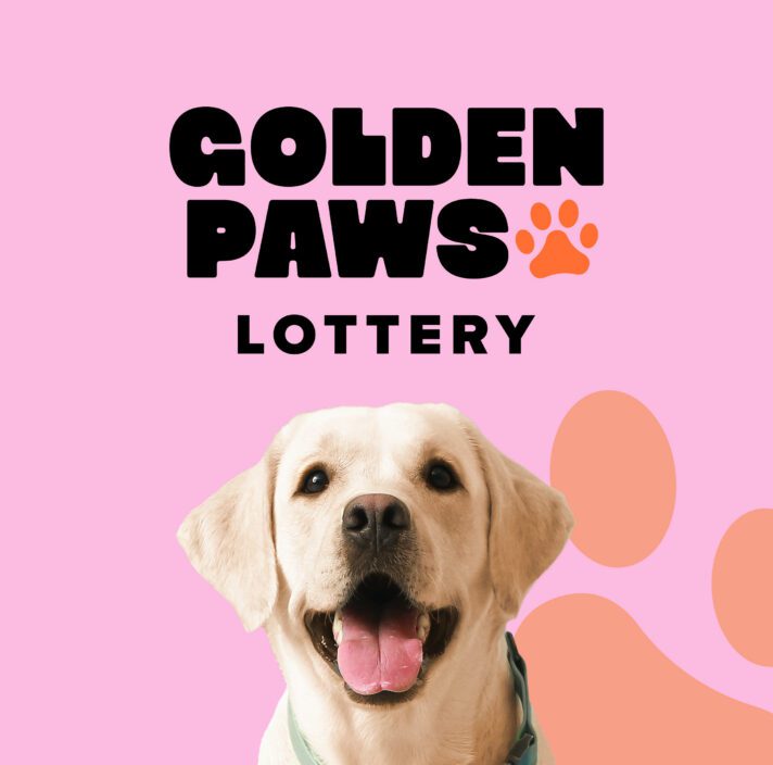 A website banner with a cheerful Labrador dog smiling at the viewer against a pink background. The text 