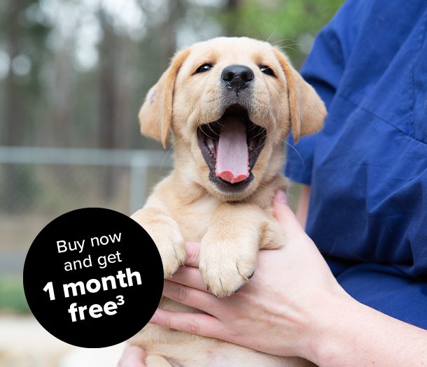 Woman holding a yellow labrador puppy up to the camera. Black circle in the bottom left corner. Text on circle reads "Buy now and get 1 month free3"