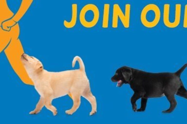 Yellow text on a blue background reads: Join our pack! Three puppies are shown running underneath the text.