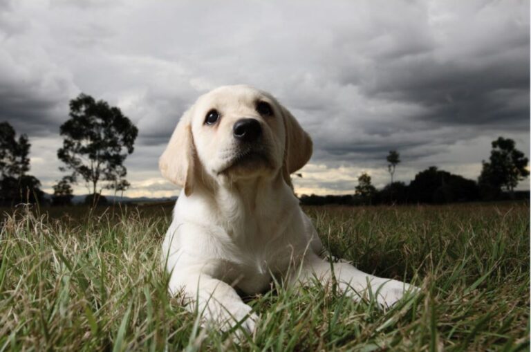 Keeping calm in storm season