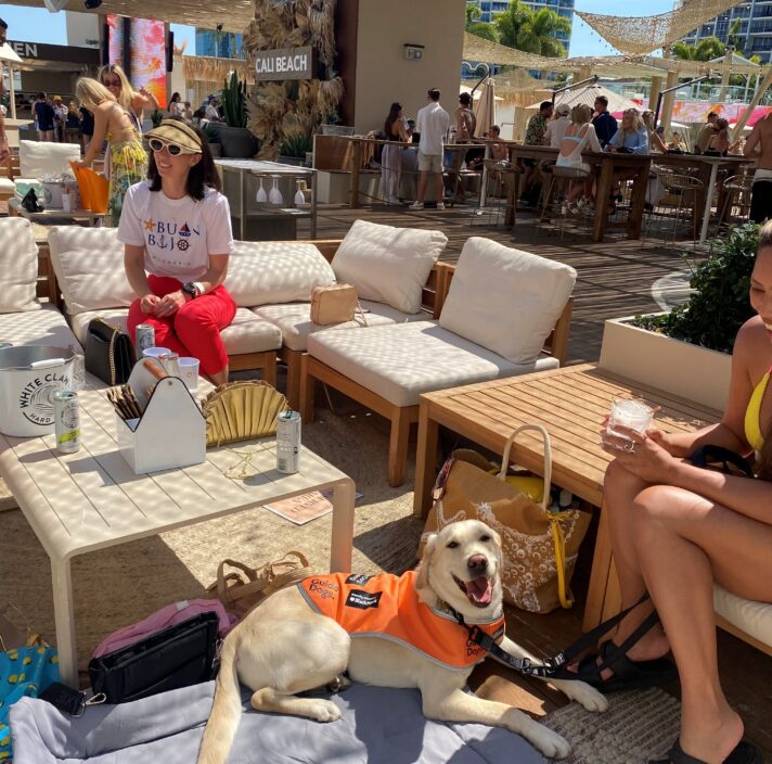 A light-colored Labrador wearing an orange Guide Dogs vest lies on a mat, looking happily at the camera at Cali Beach outdoor club. Seated nearby on beige lounge furniture, people enjoy drinks under a sunny, thatched-roof pavilion.