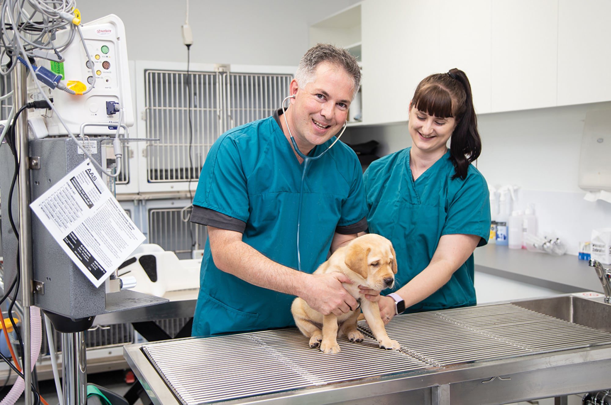 Two veterinarian's examining a yellow eight week old labrador puppy on an examination bench. Both veterinarians are smiling.
