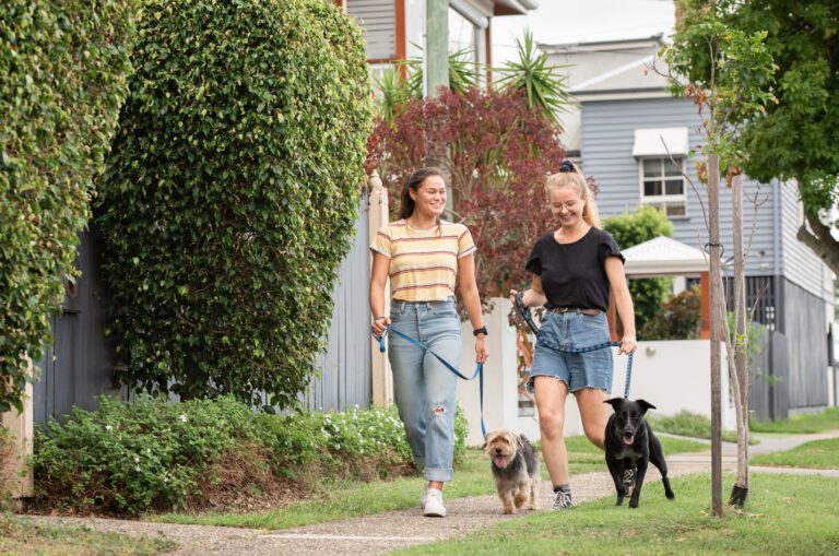 Two girls walking along a pathway walking their two small dogs.