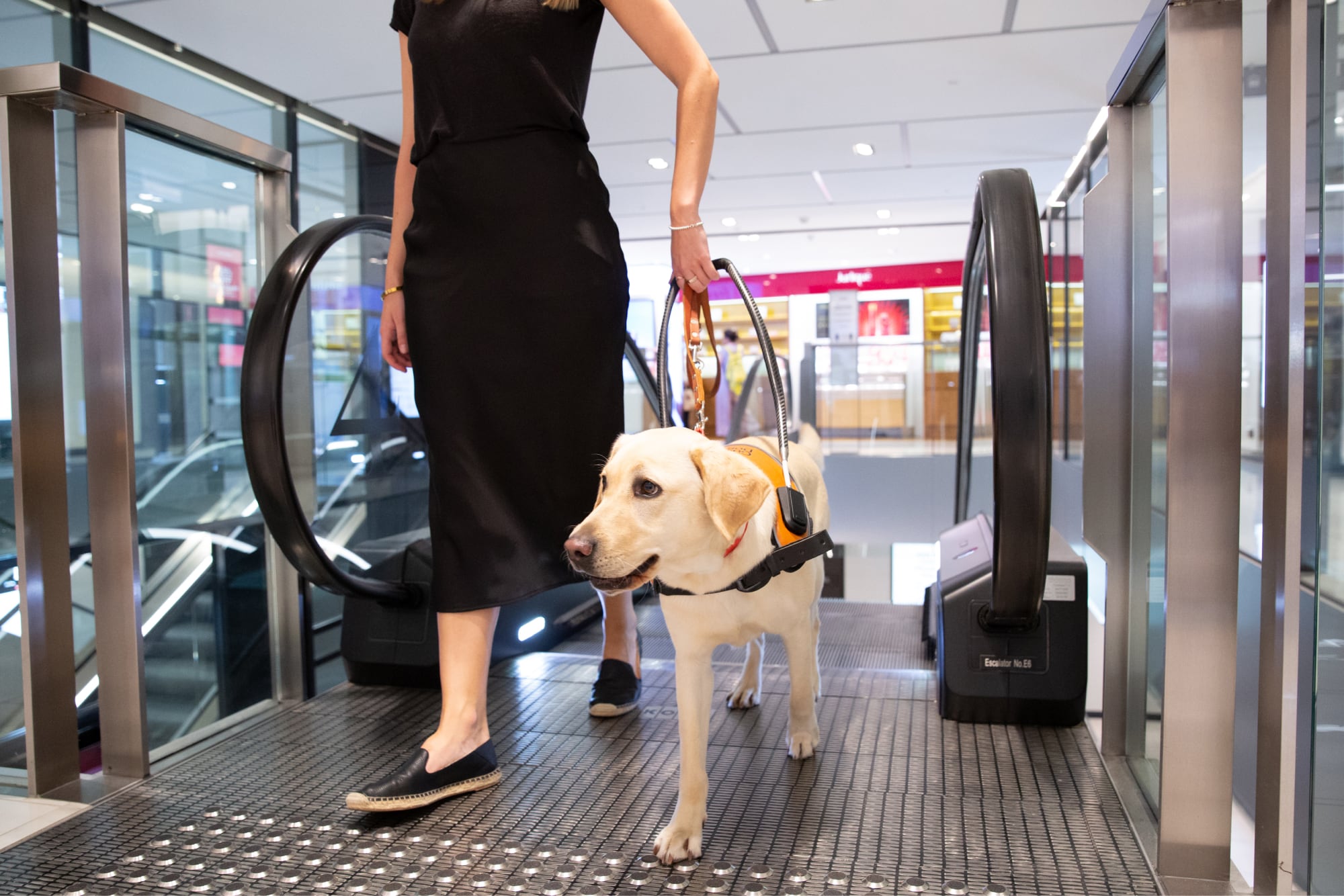 Person getting off escalators with a yellow Guide Dog in harness by their side.