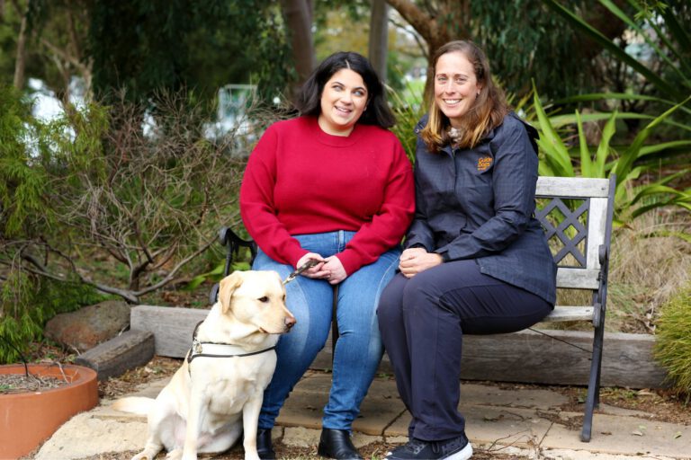 Support for Carers and Health Professionals