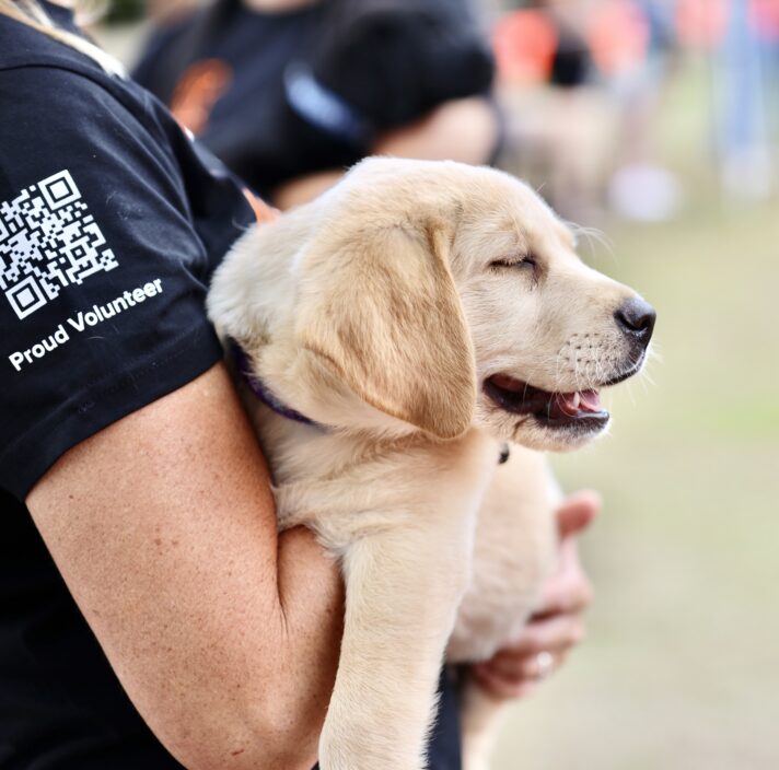 An image of a person holding a puppy.