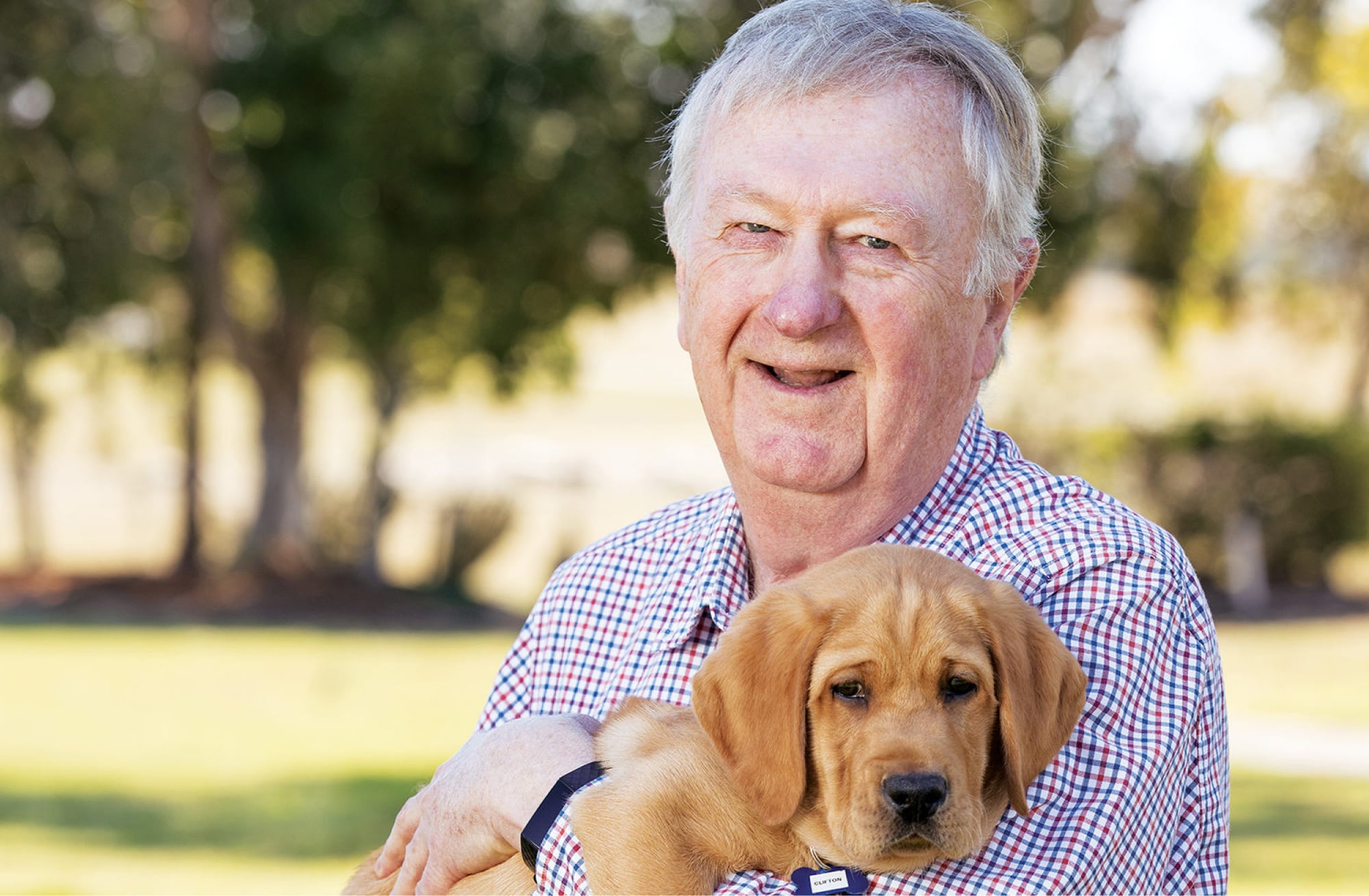 Guide Dogs Queensland Board President, Richard Anderson OAM, standing outside holding an eight week old caramel labrador puppy. Richard is looking at the camera smiling.
