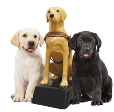 Image of two Guide Dog puppies sitting beside a Collection Dog
