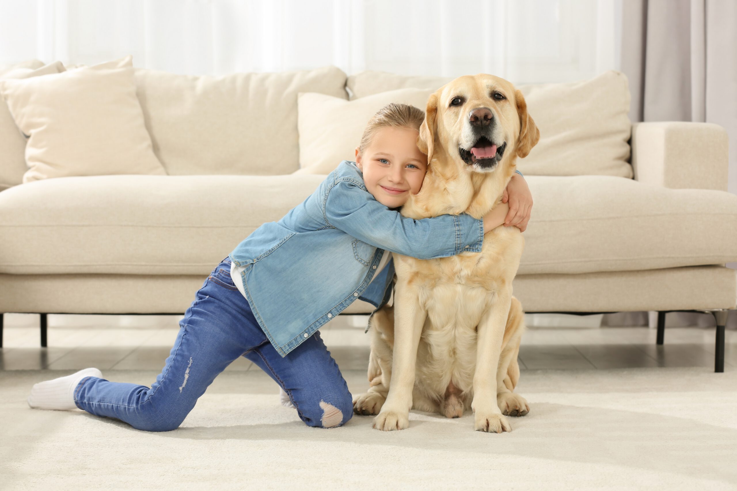 Image shows a girl hugging a yellow labrador in a lounge room