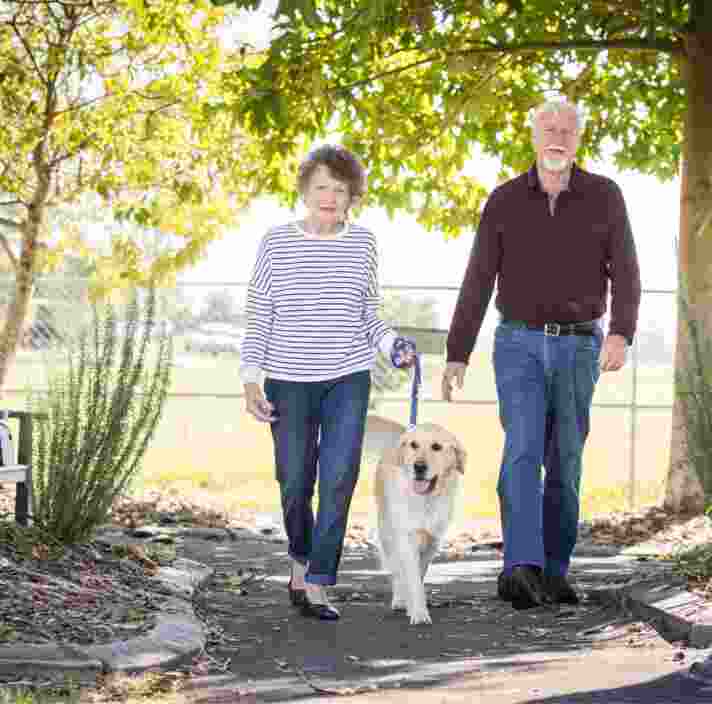 Two older adults walking outside with a yellow labrador dog. The two older adults are looking at the camera smiling.