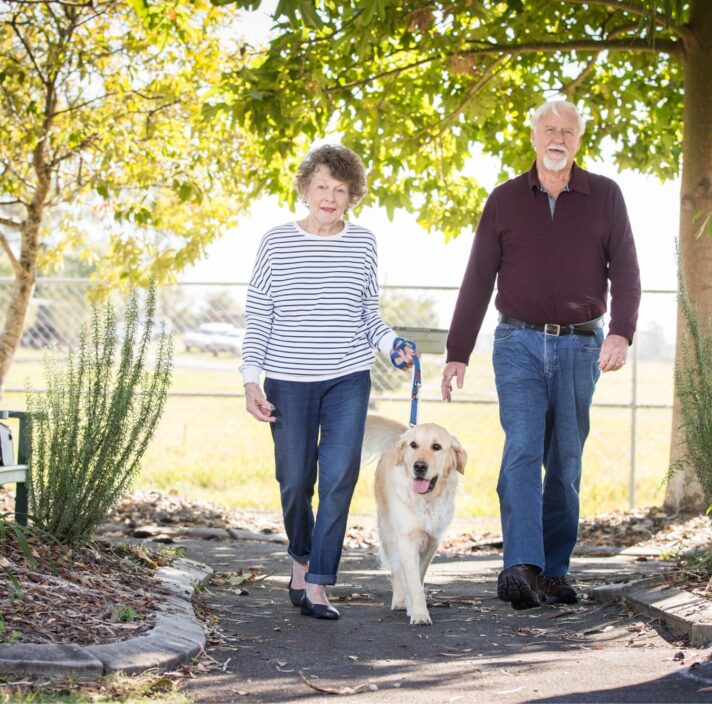 Two older adults walking outside with a yellow labrador dog. The two older adults are looking at the camera smiling.