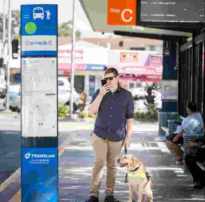 Person standing on a sidewalk with their yellow Guide Dog in harness who is seated next to them. The person is using their iPhone.