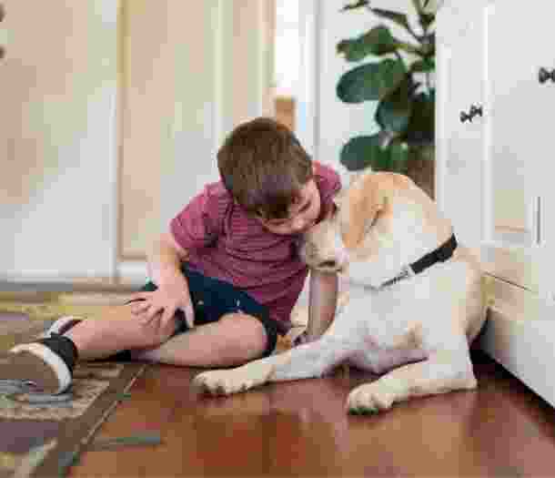 A young child sitting on the floor with a yellow labrador dog. The dog and child are closely looking at each others faces.