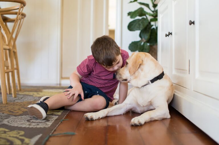 Get Involved - Guide Dogs Queensland