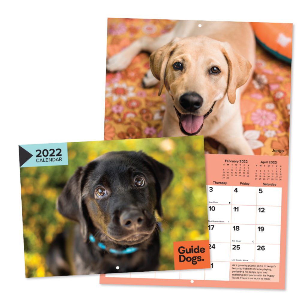 Guide Dogs Shop Queensland