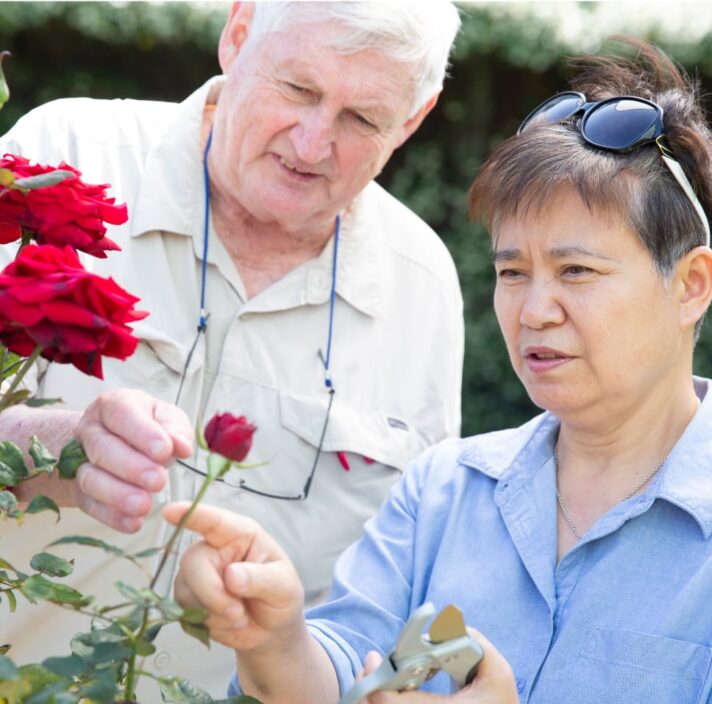 Two people looking at some flowers in a garden.