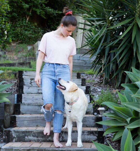 A person walking down some stairs with their yellow labrador dog. The dog and handler and looking at each other.
