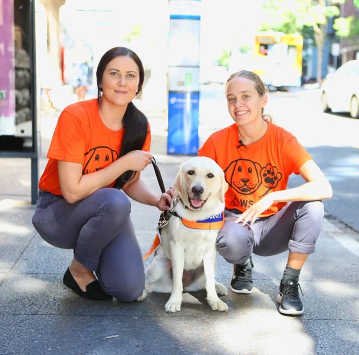Two people kneeling next to a yellow Guide Dog in training who is wearing a Guide Dog in Training jacket. They are outside on the footpath. The people are smiling while looking at the camera.
