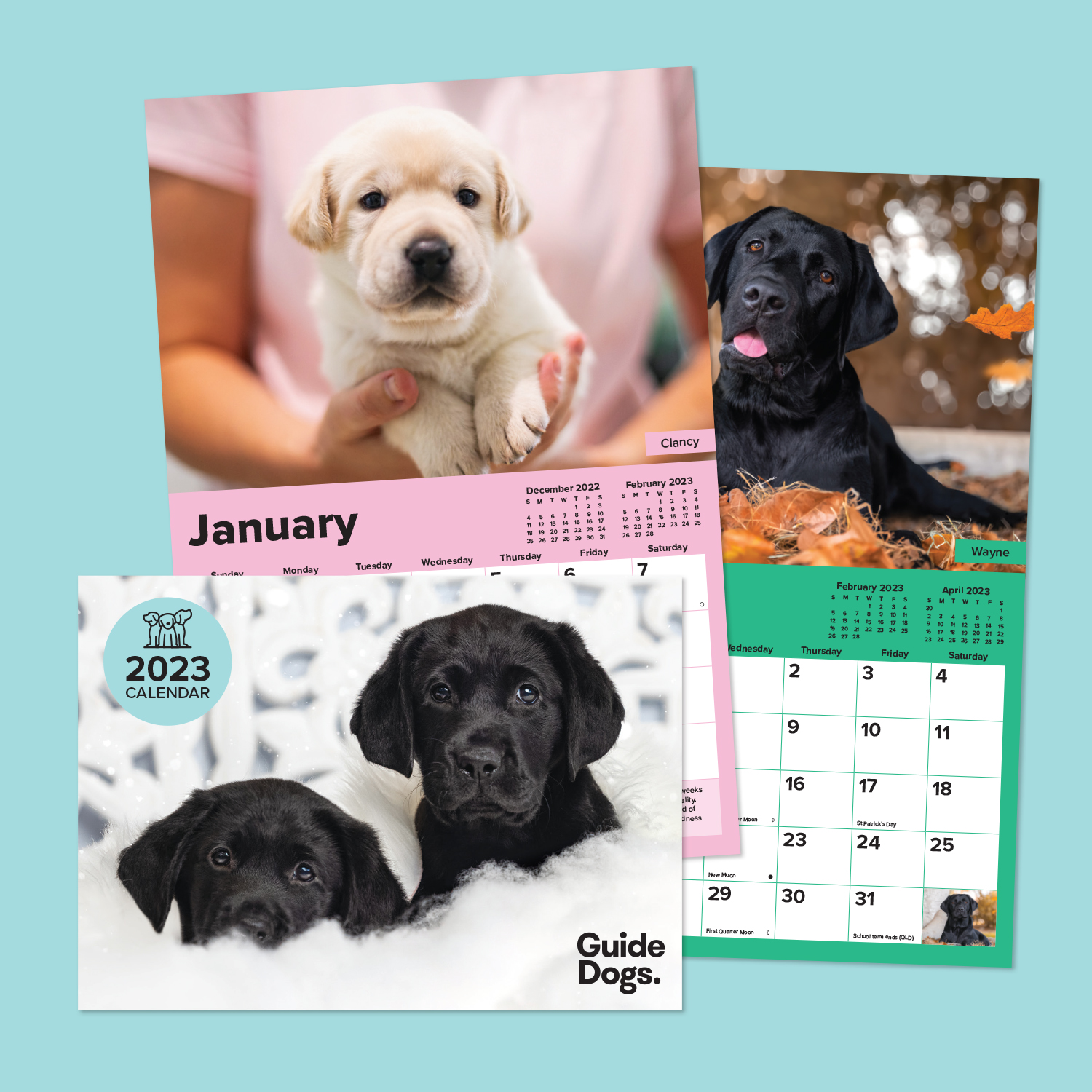 2023 Guide Dogs Calendar A4 Guide Dogs Queensland 2023 Guide Dogs Calendar A4 Guide Dogs Queensland