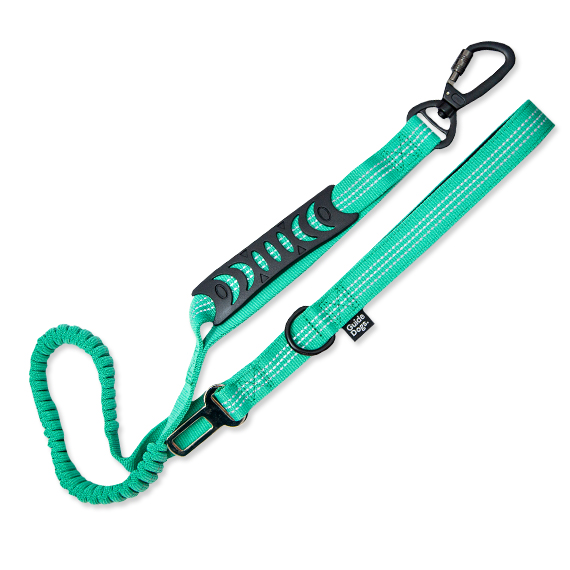 steel leash for dogs