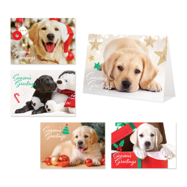 images show five different pictures of Guide Dogs Puppies with Christmas themes