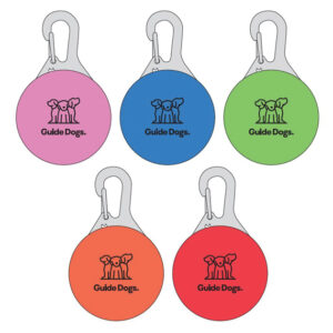 image show Clip on LED Lights in five different colours