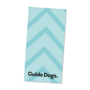 Sunglass case