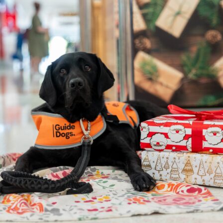 Strathpine Gift Wrapping