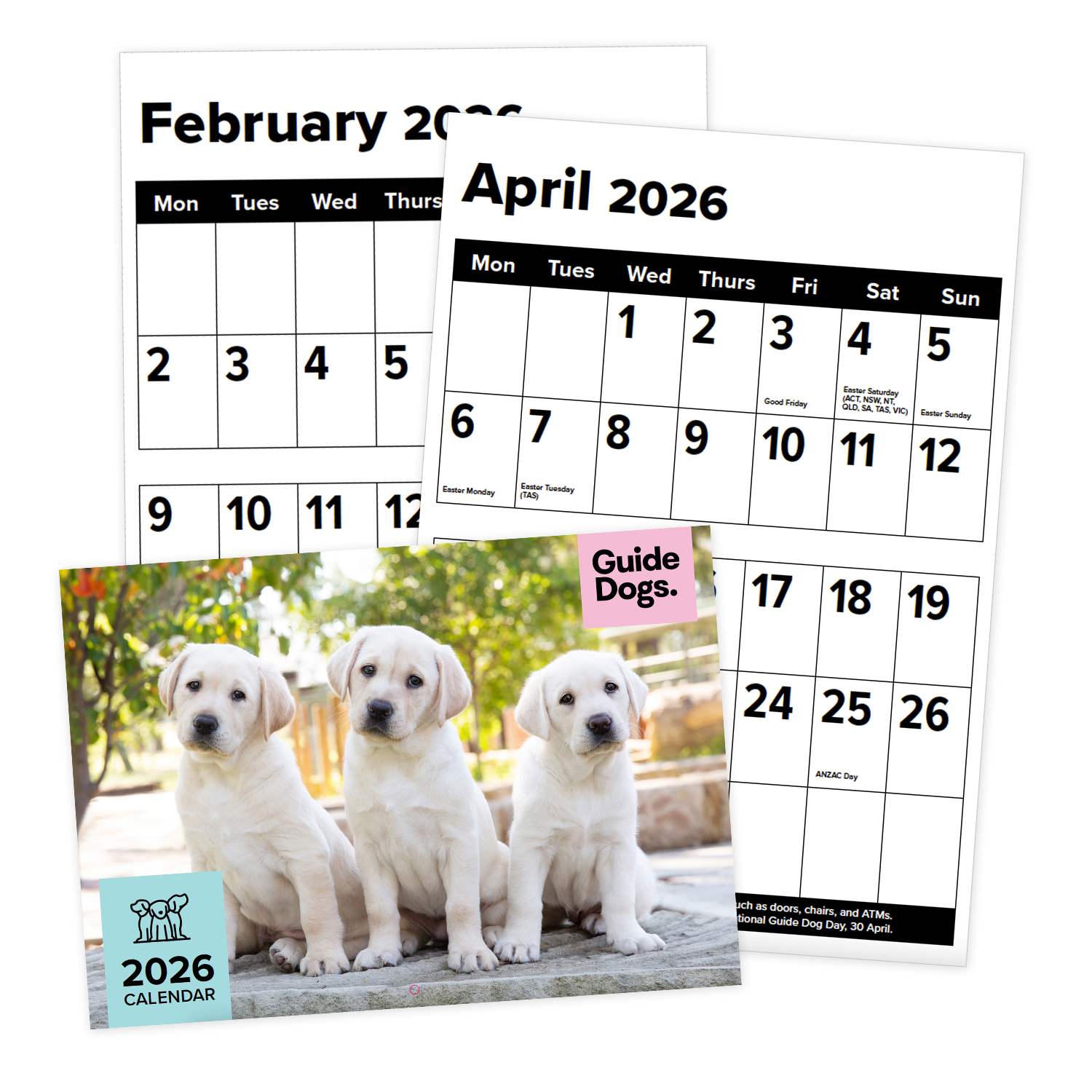 Guide Dogs 2026 A3 Large Print Calendar