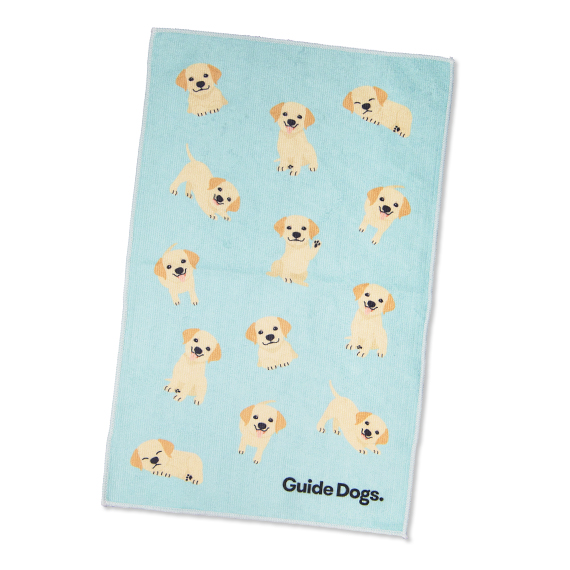 Microfibre Cartoon Puppy Cloth